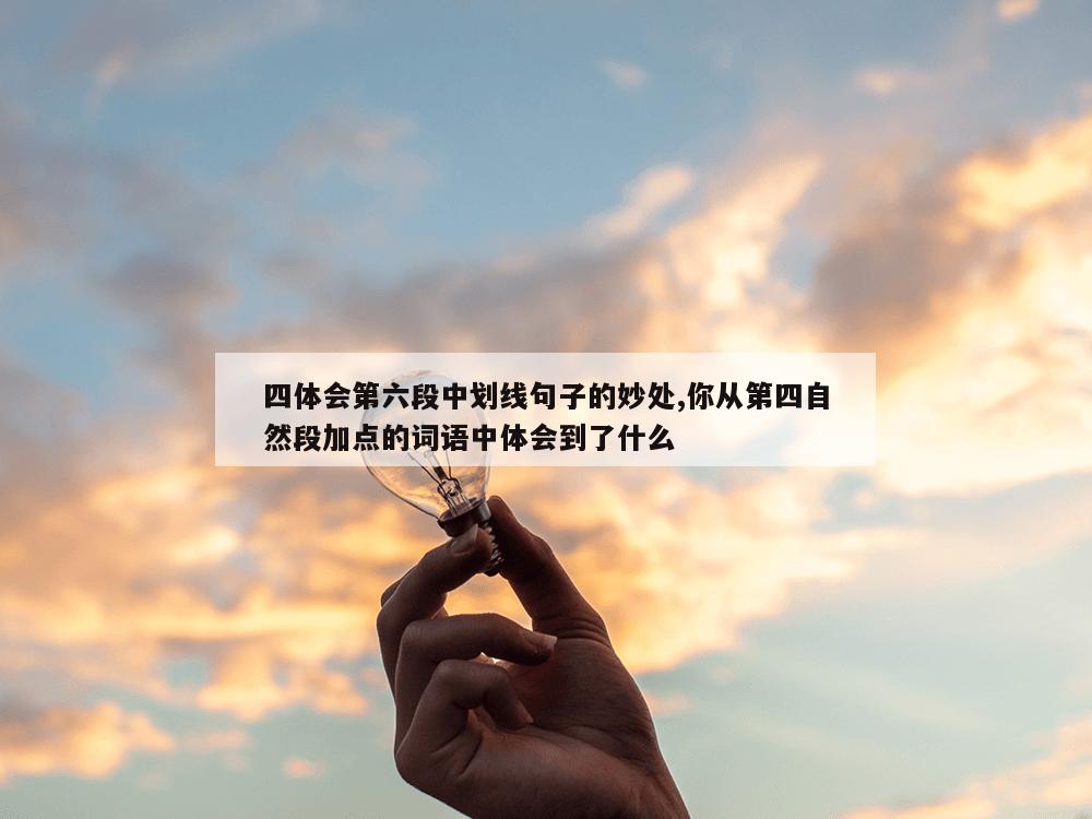 四体会第六段中划线句子的妙处,你从第四自然段加点的词语中体会到了什么