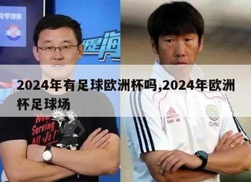 2024年有足球欧洲杯吗,2024年欧洲杯足球场