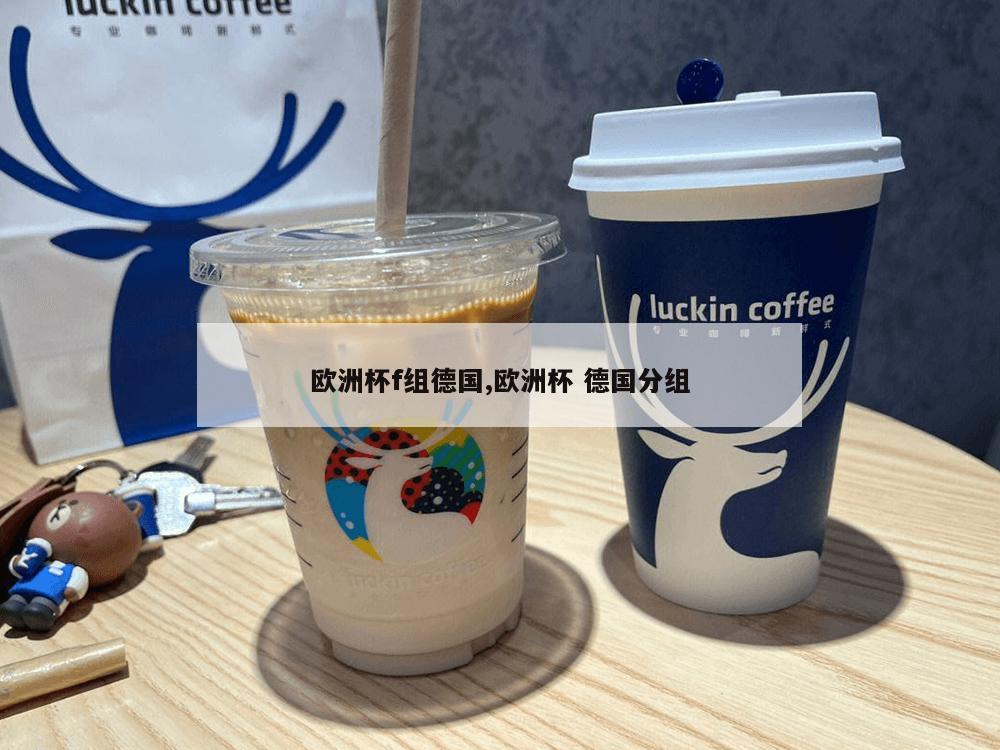 欧洲杯f组德国,欧洲杯 德国分组