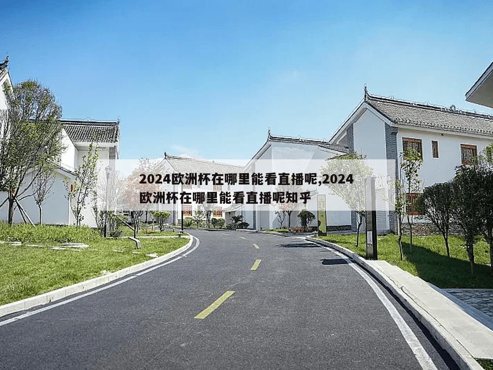 2024欧洲杯在哪里能看直播呢,2024欧洲杯在哪里能看直播呢知乎