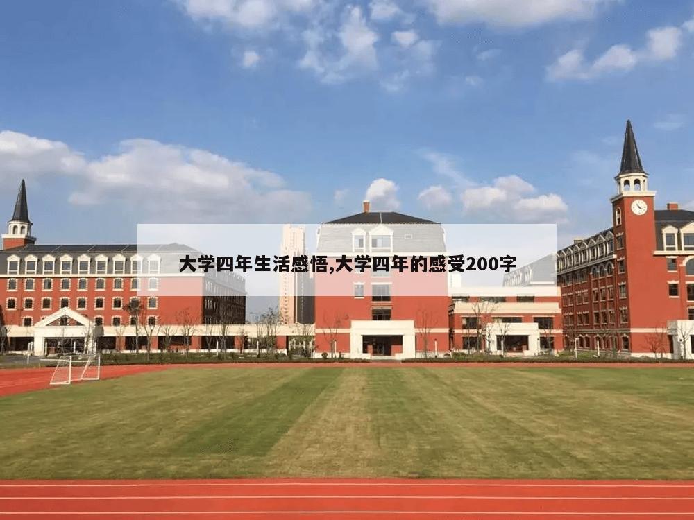 大学四年生活感悟,大学四年的感受200字