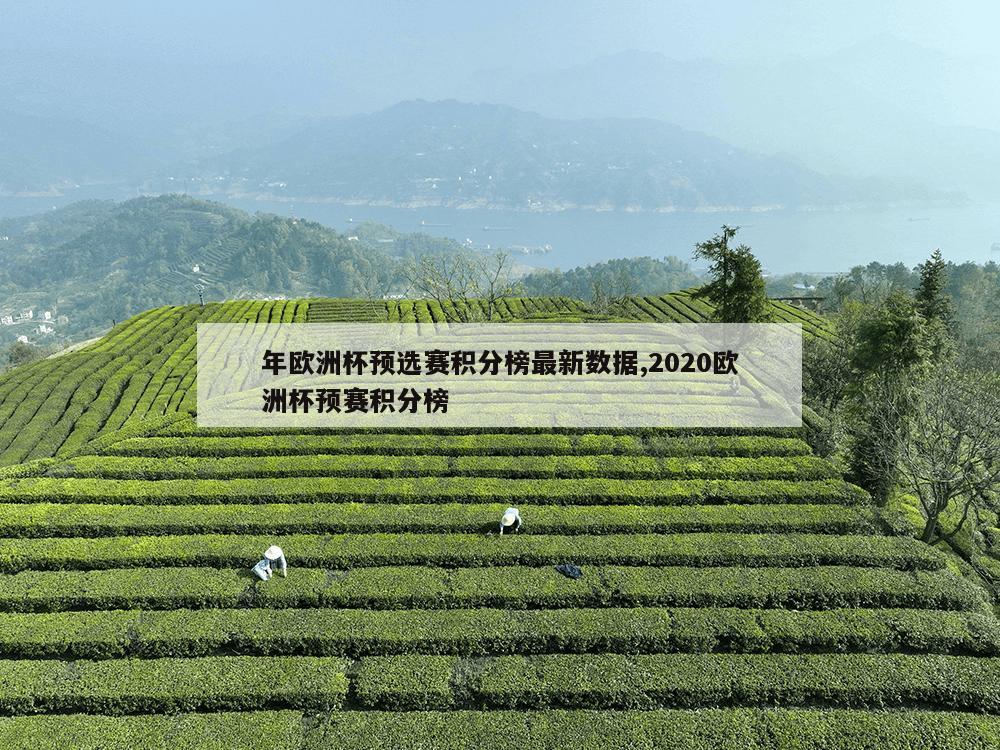 年欧洲杯预选赛积分榜最新数据,2020欧洲杯预赛积分榜