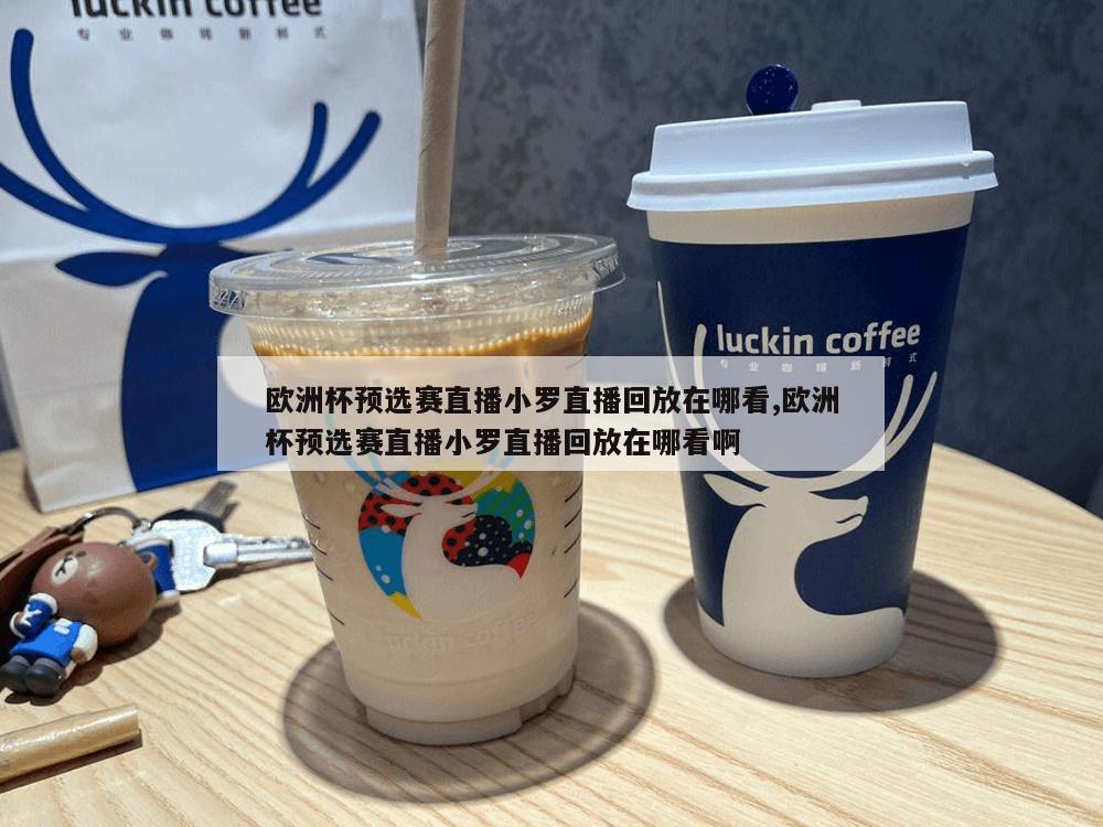 欧洲杯预选赛直播小罗直播回放在哪看,欧洲杯预选赛直播小罗直播回放在哪看啊