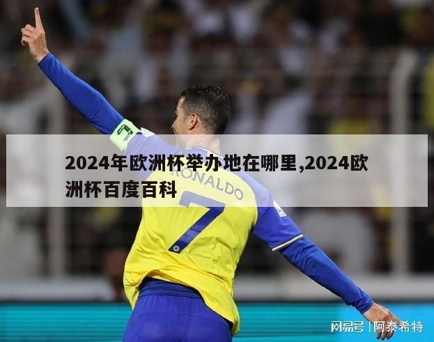 2024年欧洲杯举办地在哪里,2024欧洲杯百度百科