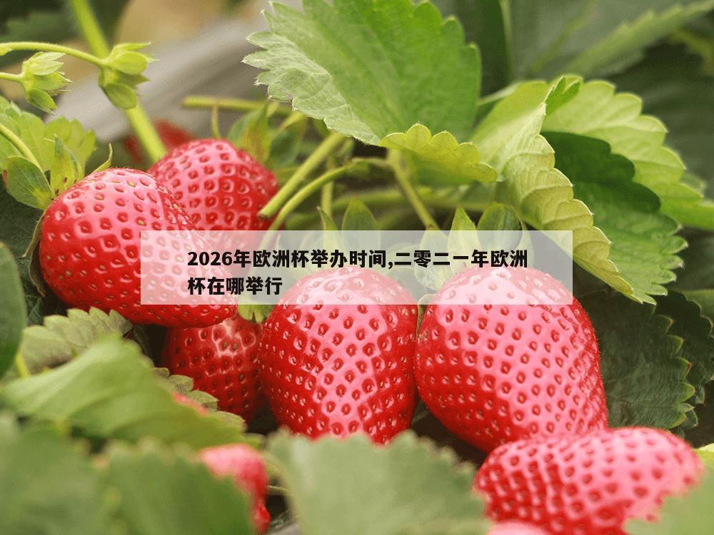 2026年欧洲杯举办时间,二零二一年欧洲杯在哪举行