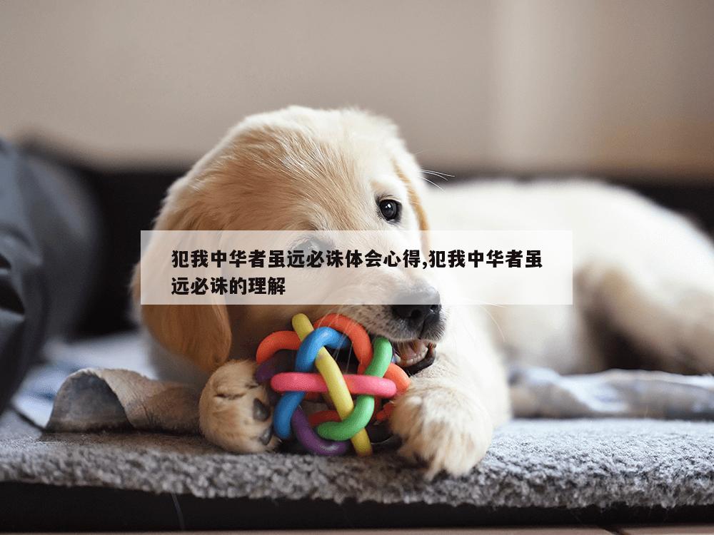 犯我中华者虽远必诛体会心得,犯我中华者虽远必诛的理解