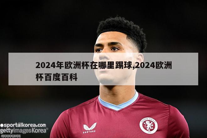 2024年欧洲杯在哪里踢球,2024欧洲杯百度百科